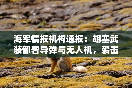 海军情报机构通报：胡塞武装部署导弹与无人机，袭击红海南部航道船只