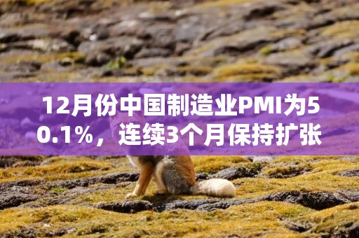 12月份中国制造业PMI为50.1%，连续3个月保持扩张