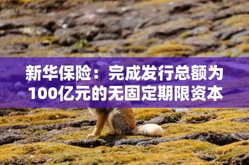 新华保险：完成发行总额为100亿元的无固定期限资本债券