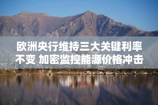欧洲央行维持三大关键利率不变 加密监控能源价格冲击
