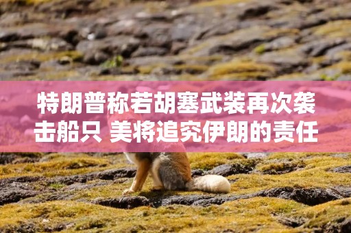 特朗普称若胡塞武装再次袭击船只 美将追究伊朗的责任