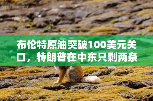 布伦特原油突破100美元关口，特朗普在中东只剩两条路可选