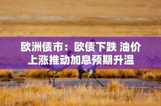 欧洲债市：欧债下跌 油价上涨推动加息预期升温