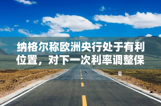 纳格尔称欧洲央行处于有利位置，对下一次利率调整保持沉默