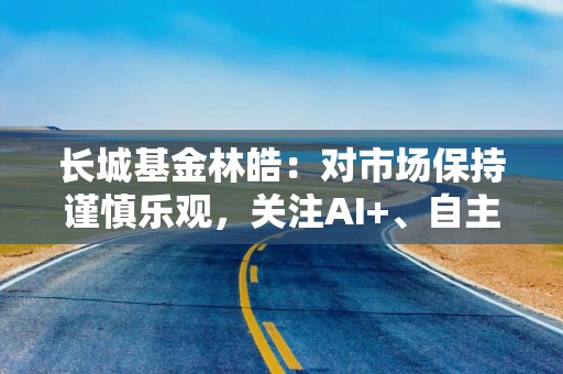 长城基金林皓：对市场保持谨慎乐观，关注AI+、自主可控方向