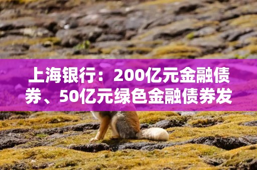 上海银行：200亿元金融债券、50亿元绿色金融债券发行完毕