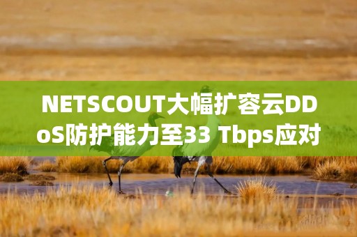 NETSCOUT大幅扩容云DDoS防护能力至33 Tbps应对AI攻击浪潮