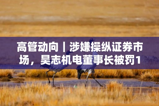 高管动向｜涉嫌操纵证券市场，昊志机电董事长被罚1.09亿元