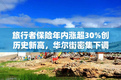 旅行者保险年内涨超30%创历史新高，华尔街密集下调评级