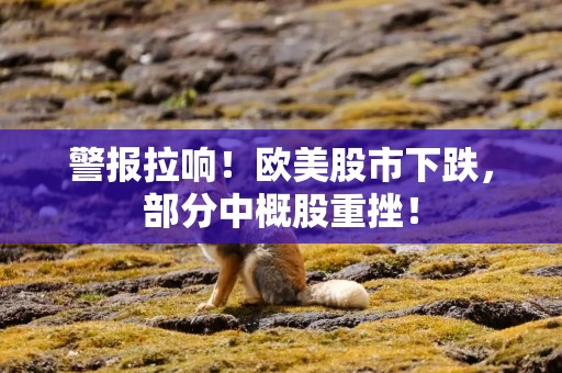 警报拉响！欧美股市下跌，部分中概股重挫！