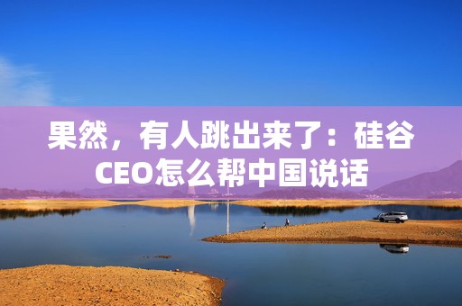 果然，有人跳出来了：硅谷CEO怎么帮中国说话