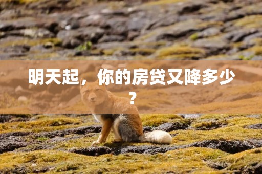 明天起，你的房贷又降多少？