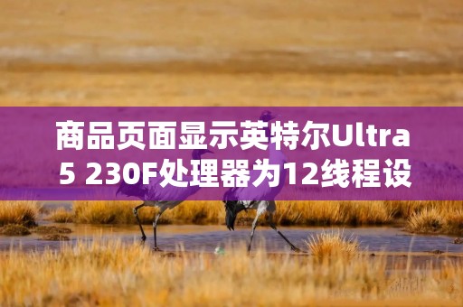 商品页面显示英特尔Ultra 5 230F处理器为12线程设计