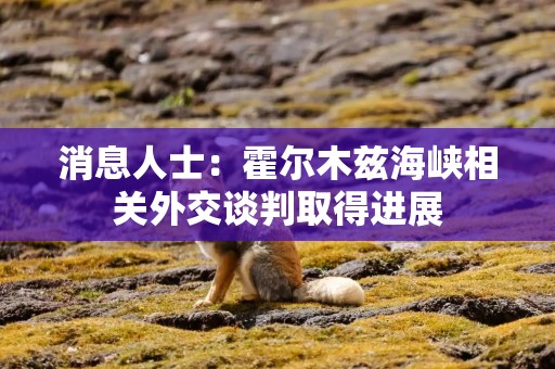 消息人士：霍尔木兹海峡相关外交谈判取得进展