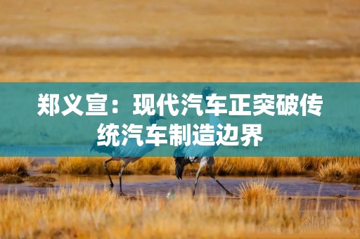 郑义宣：现代汽车正突破传统汽车制造边界