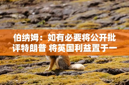 伯纳姆：如有必要将公开批评特朗普 将英国利益置于一切之上