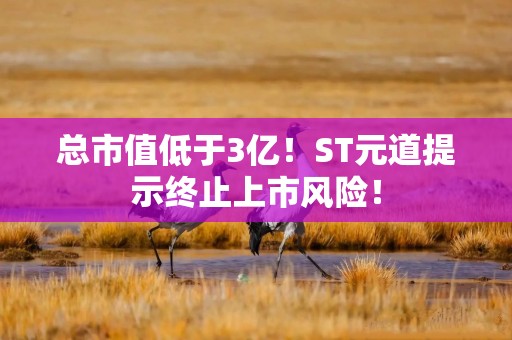 总市值低于3亿！ST元道提示终止上市风险！