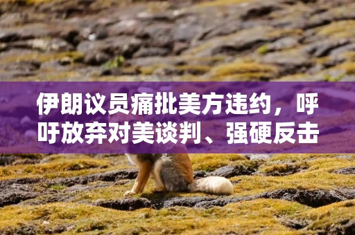 伊朗议员痛批美方违约，呼吁放弃对美谈判、强硬反击