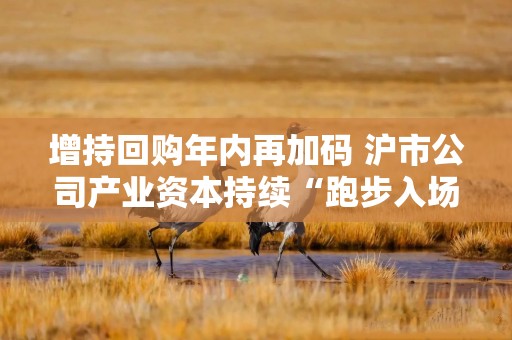 增持回购年内再加码 沪市公司产业资本持续“跑步入场”