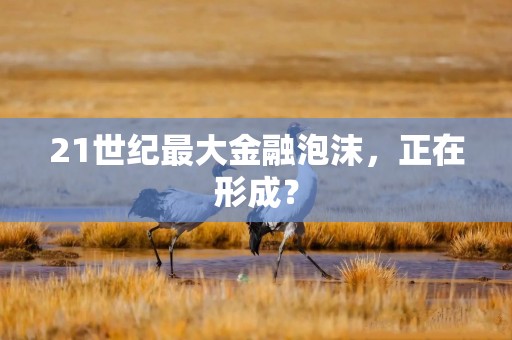 21世纪最大金融泡沫，正在形成？