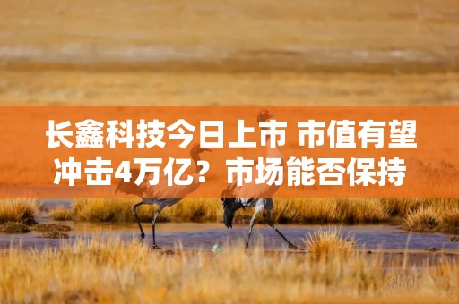 长鑫科技今日上市 市值有望冲击4万亿？市场能否保持平稳运行