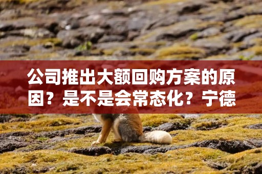 公司推出大额回购方案的原因？是不是会常态化？宁德时代回应