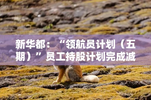 新华都：“领航员计划（五期）”员工持股计划完成减持，累计减持0.65%股份