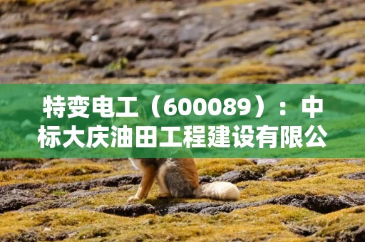 特变电工（600089）：中标大庆油田工程建设有限公司采购项目，中标金额为792.19万元