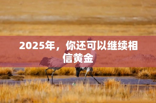 2025年，你还可以继续相信黄金