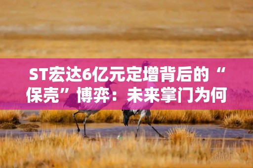 ST宏达6亿元定增背后的“保壳”博弈：未来掌门为何高价接盘？