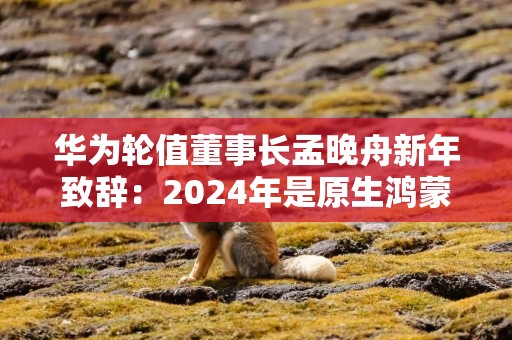 华为轮值董事长孟晚舟新年致辞：2024年是原生鸿蒙关键一年