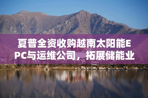 夏普全资收购越南太阳能EPC与运维公司，拓展储能业务