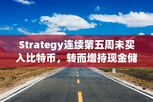 Strategy连续第五周未买入比特币，转而增持现金储备