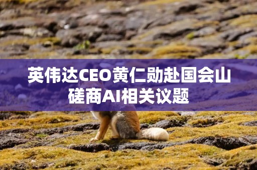 英伟达CEO黄仁勋赴国会山磋商AI相关议题