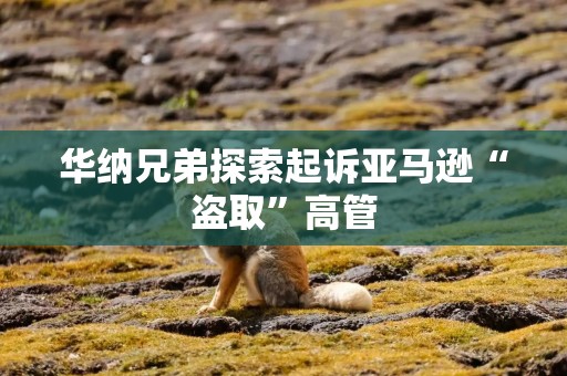 华纳兄弟探索起诉亚马逊“盗取”高管