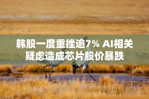 韩股一度重挫逾7% AI相关疑虑造成芯片股价暴跌
