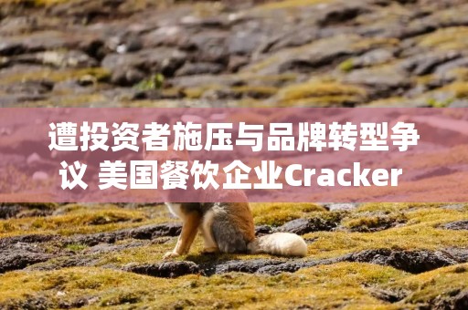 遭投资者施压与品牌转型争议 美国餐饮企业Cracker Barrel更换首席执行官