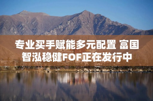 专业买手赋能多元配置 富国智泓稳健FOF正在发行中