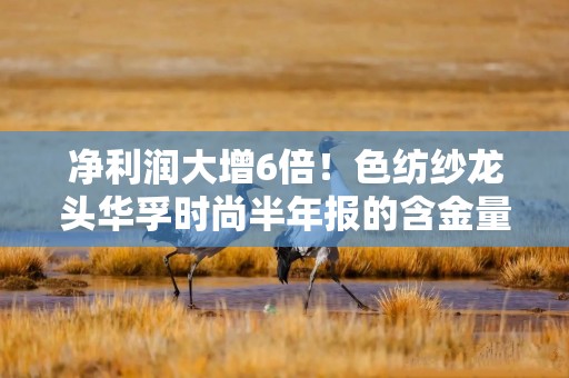净利润大增6倍！色纺纱龙头华孚时尚半年报的含金量体现在哪儿？