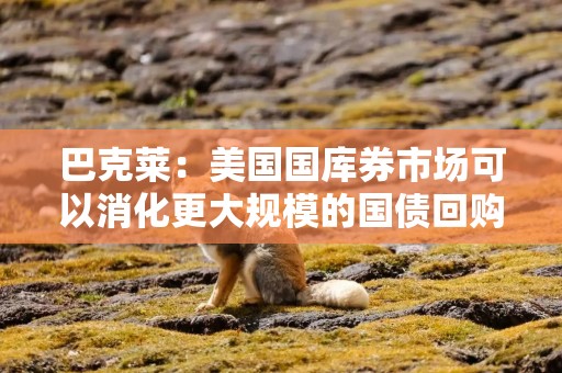 巴克莱：美国国库券市场可以消化更大规模的国债回购
