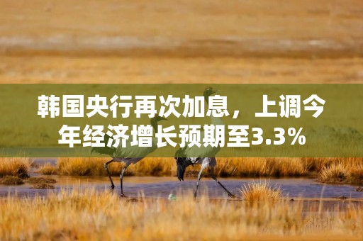 韩国央行再次加息，上调今年经济增长预期至3.3%