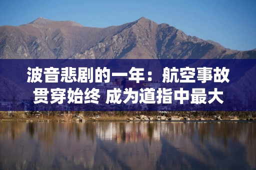 波音悲剧的一年：航空事故贯穿始终 成为道指中最大的输家