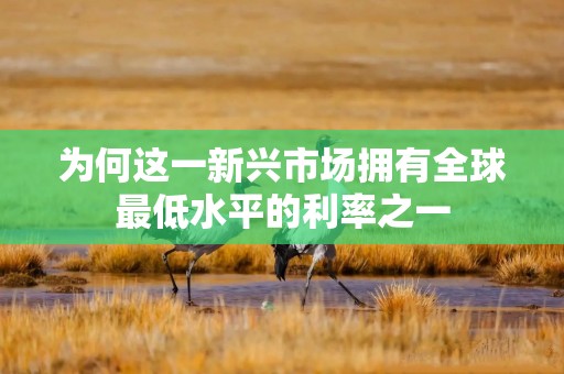 为何这一新兴市场拥有全球最低水平的利率之一