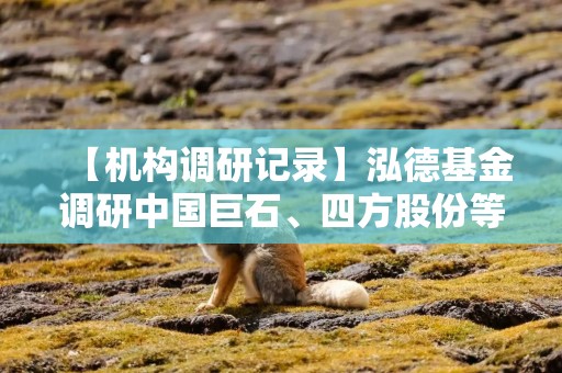 【机构调研记录】泓德基金调研中国巨石、四方股份等7只个股（附名单）