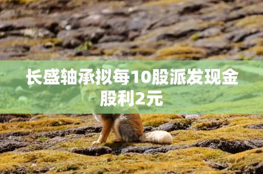 长盛轴承拟每10股派发现金股利2元