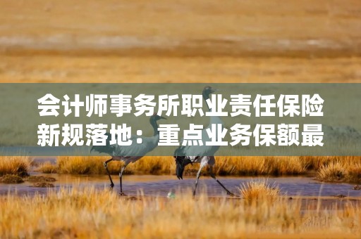 会计师事务所职业责任保险新规落地：重点业务保额最高翻倍至1亿元