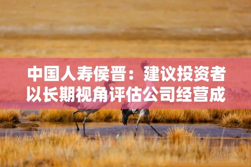 中国人寿侯晋：建议投资者以长期视角评估公司经营成效 不用过度关注短期波动