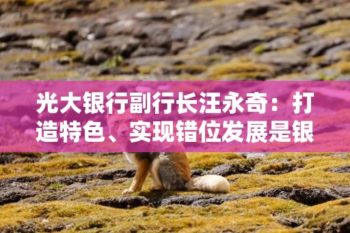 光大银行副行长汪永奇：打造特色、实现错位发展是银行战略转型的必由之路