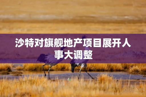 沙特对旗舰地产项目展开人事大调整