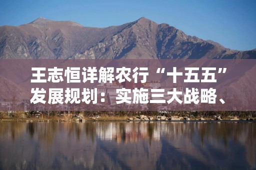 王志恒详解农行“十五五”发展规划：实施三大战略、打造三大银行 聚焦六大核心发展方向